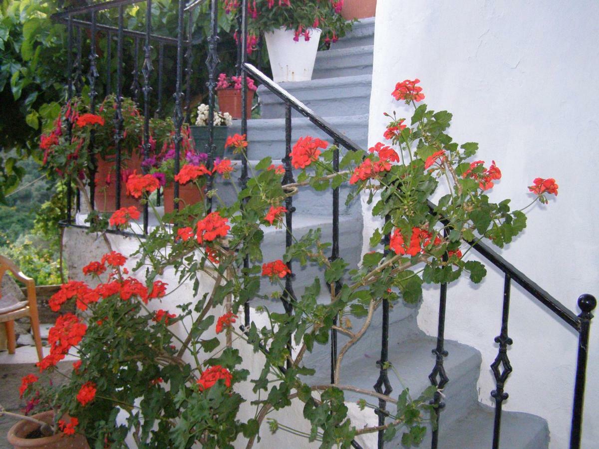 Villa Aerinos House Exterior foto